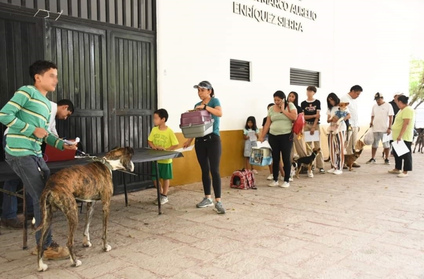  Se realiza Jornada de Esterilización Canina y Felina en Jalpan de Serra