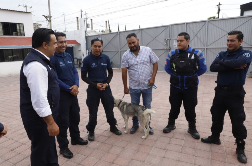  Municipio de Querétaro reconoce a veterinarios de la UPAM