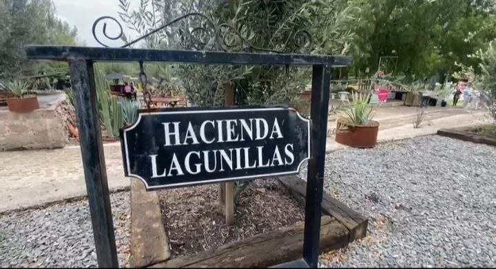  Inició la vendimia en la Hacienda Lagunillas