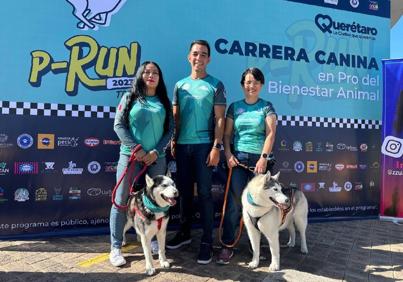  Anuncian carrera P-Run en el municipio de Querétaro