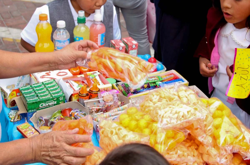  Venta de comida chatarra en las escuelas, materia pendiente: Soto Obregón