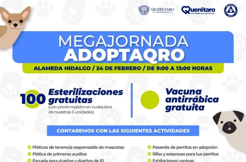  Realizarán mega jornada AdoptaQro en la Alameda Hidalgo