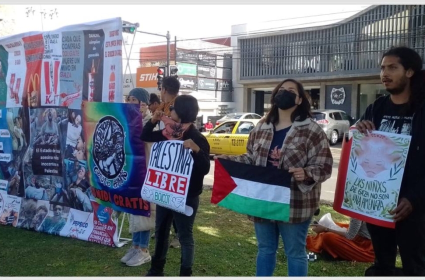  Colectivos se reúnen en favor de Palestina