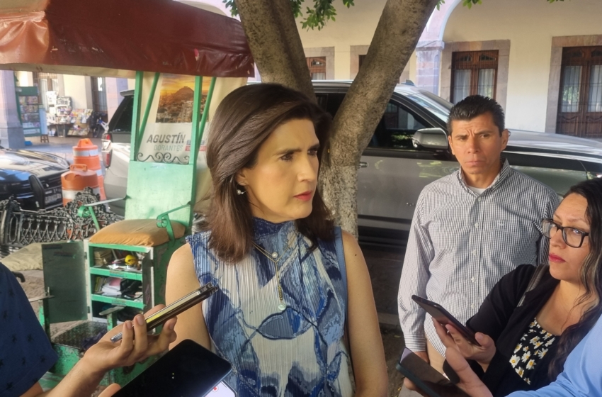  Urge legislación para registro de deudores alimentarios: Mariela Ponce Villa