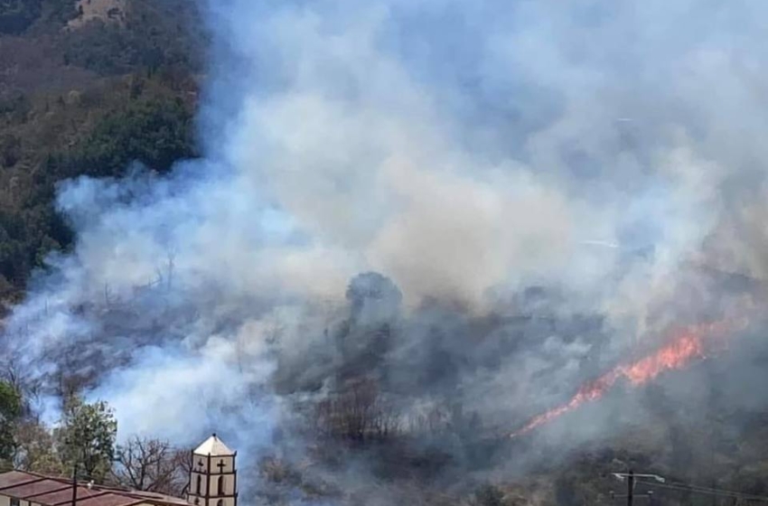  Se quemaron 80 hectáreas de bosque en Pinal de Amoles