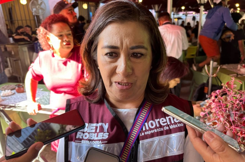  Sí hay perfiles para sustituir a Santiago Nieto: Beatriz Robles