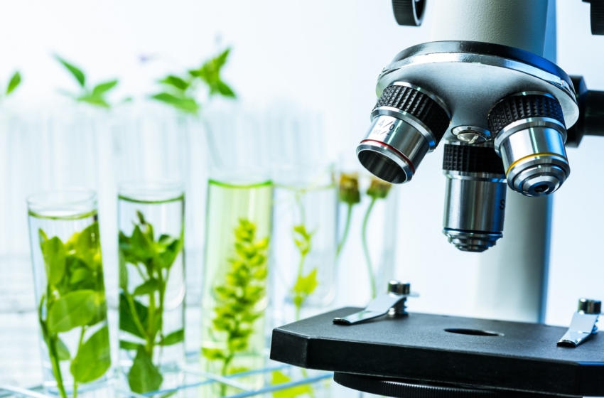  Avances en la biotecnología moderna, una visión para el futuro