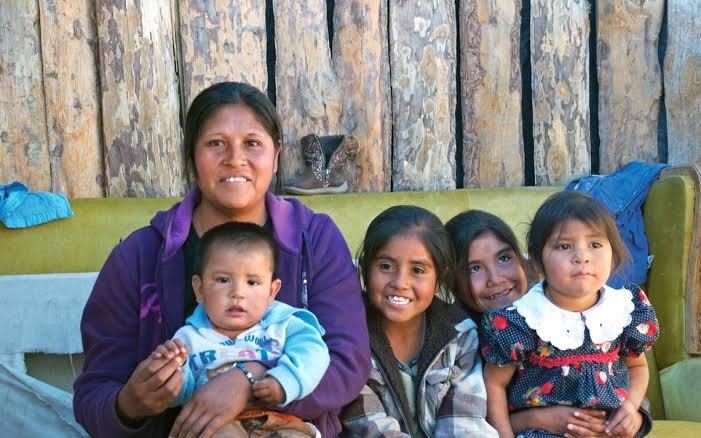  En México, tres de cada 10 mujeres son jefas del hogar: INEGI