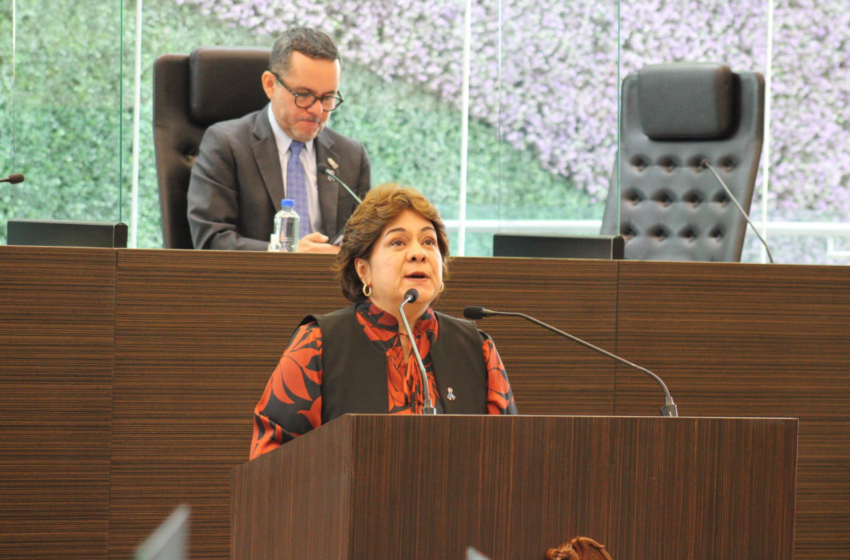  Ley de participación ciudadana en detalles finales; asegura Graciela Juárez