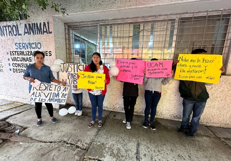  Dueños de “Nube” no se presentaron para seguir con el proceso de la perrita: UCAM