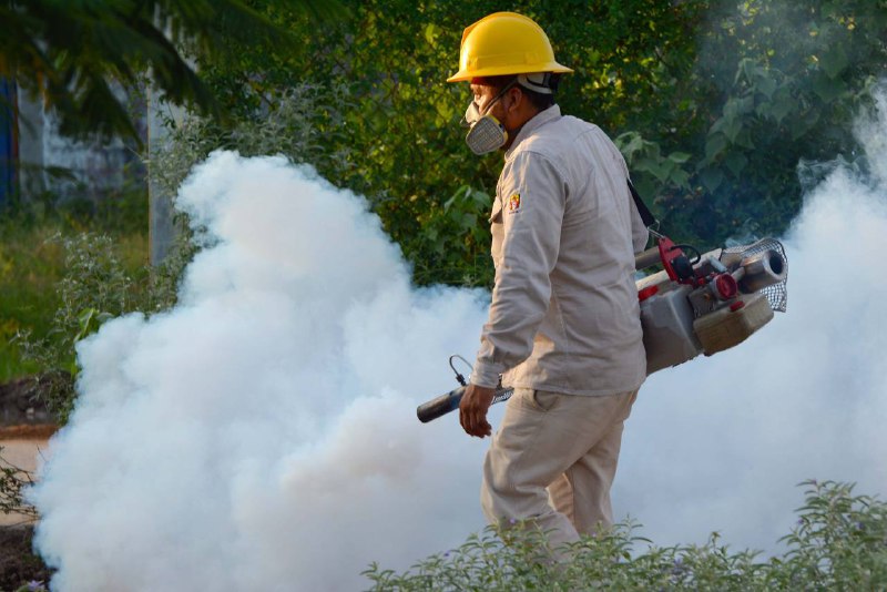  Aumentan aún más casos de dengue en Querétaro por impacto del cambio climático, señala gobierno