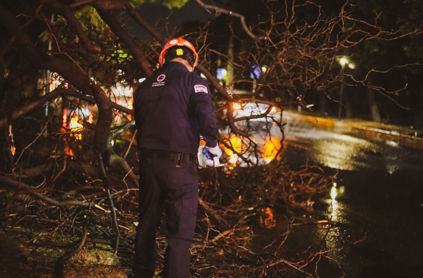  Lluvia dejo 11 zonas con encharcamientos y 13 árboles caídos en la capital