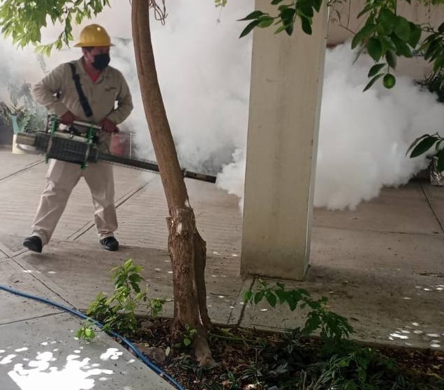  Primeros fallecidos por dengue se dan en Peñamiller y en el Municipio de Querétaro; los casos incrementan 600%