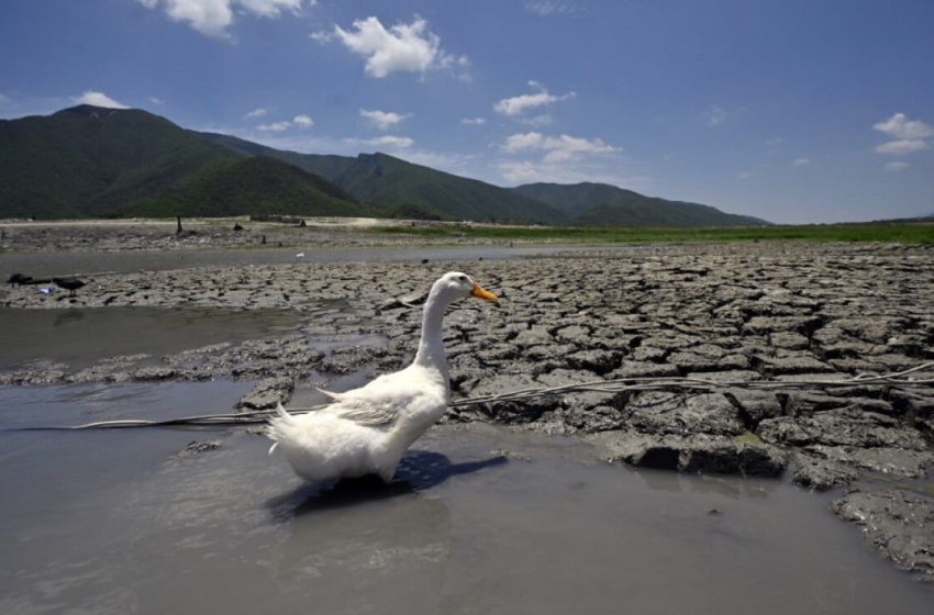  El cambio climático y su impacto en la salud