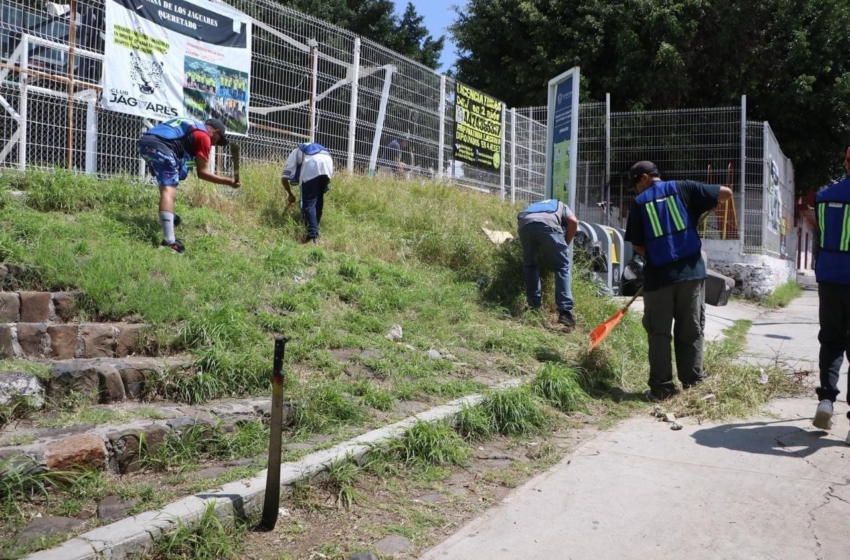  24 detenidos durante alcoholímetro