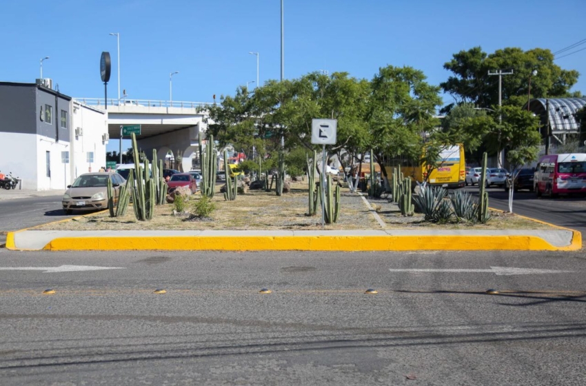  Realizan trabajos de limpieza en laterales de la carretera estatal 413