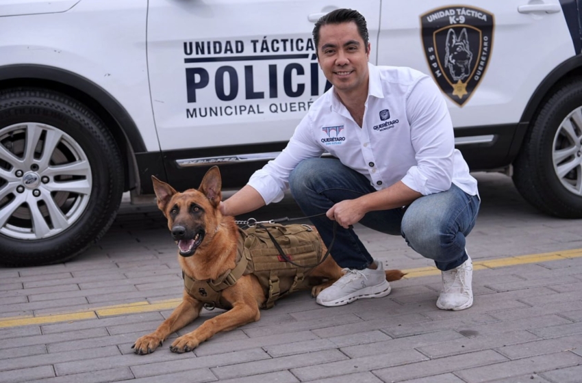  Incorpora Felifer Macías 12 nuevos caninos al grupo K9