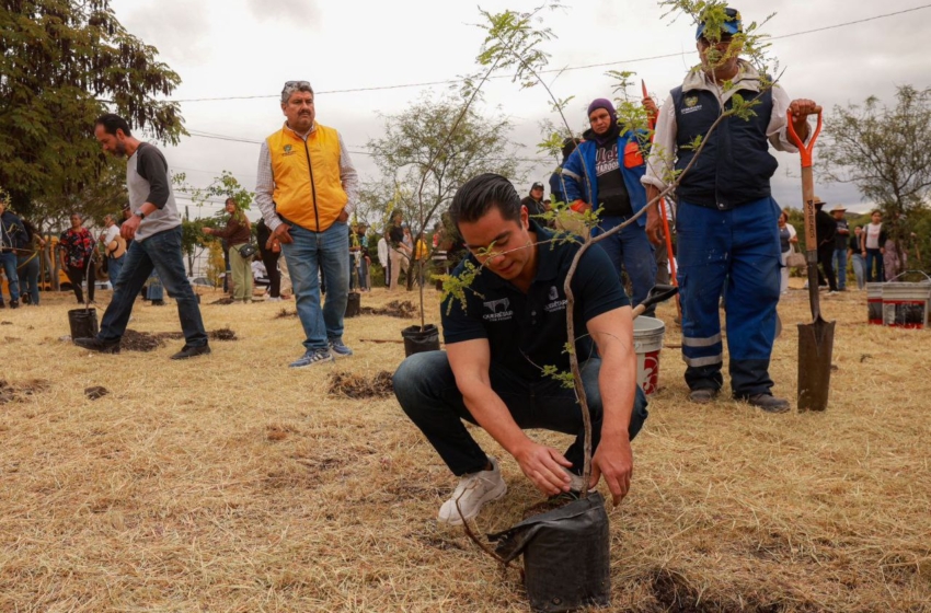  Municipio reforesta zona en Juriquilla