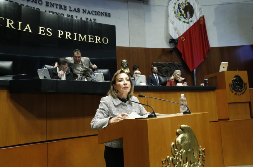  Morena y sus aliados no quieren contrapesos: Guadalupe Murguía