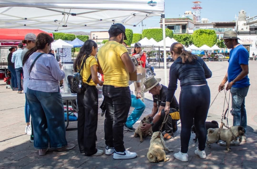  Anuncian “Primer Foro de Protección Animal en SJR