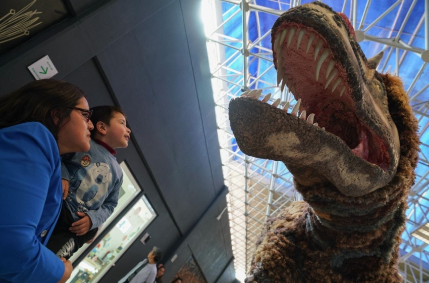  Presentan “Dinosaurios entre Nosotros” en el Museo Ximhai