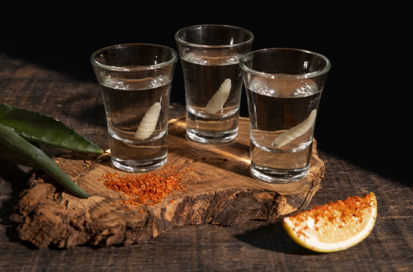  OXA: Mezcal, un secreto ancestral de las tierras prehispánicas