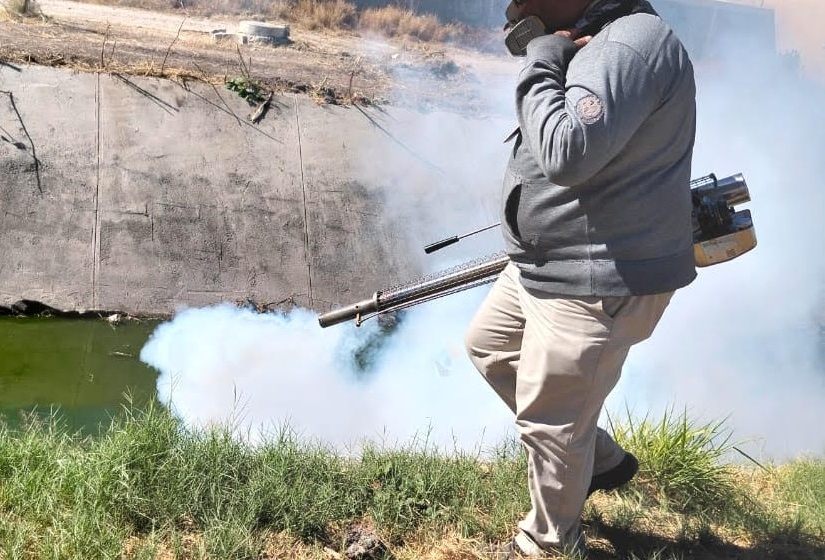  En Querétaro se efectúa vigilancia epidemiológica del dengue