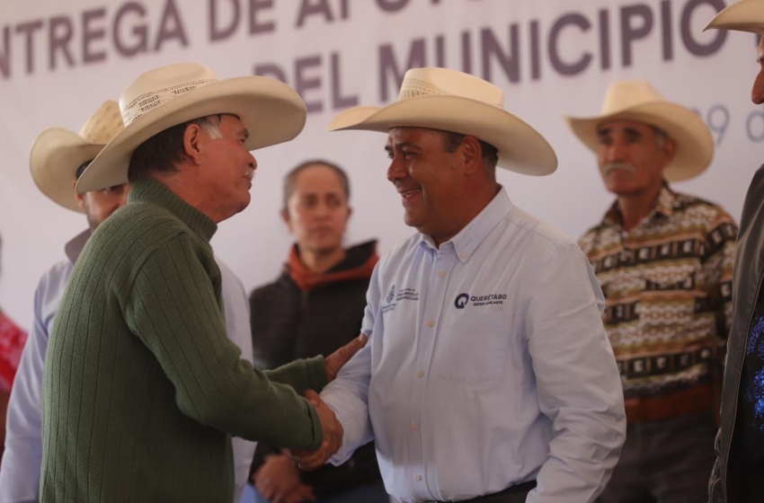  Apoya SEDEA a más de 5 mil familias del campo en Amealco de Bonfil con apoyos de maíz