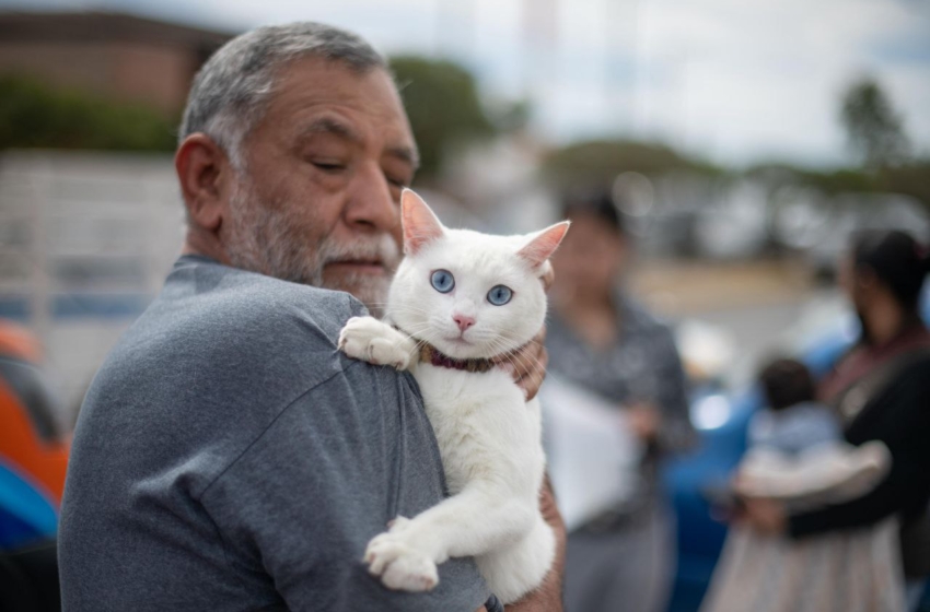  El Marqués eleva el cuidado animal con la creación del Instituto de Protección Animal