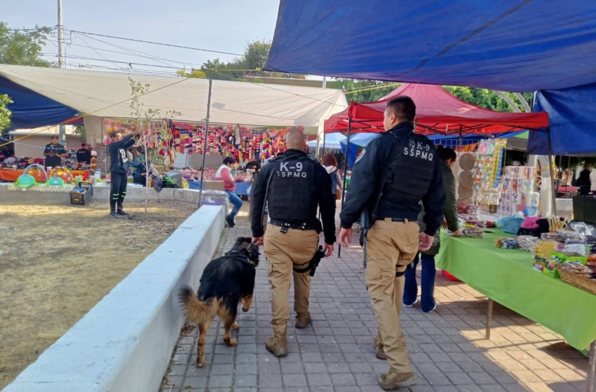  Más de 300 detenidos y saldo blanco en el operativo Guadalupe-Reyes en Querétaro