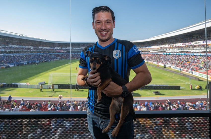  El Marqués certifica mascotas para seguridad en el estadio Corregidora