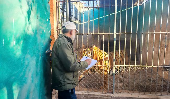  Ordena Profepa medidas de urgente aplicación a Zoológico Wameru, de Querétaro