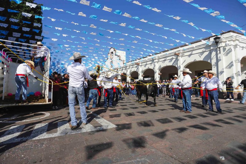  Celebración del “Paseo del Buey” en Corregidora