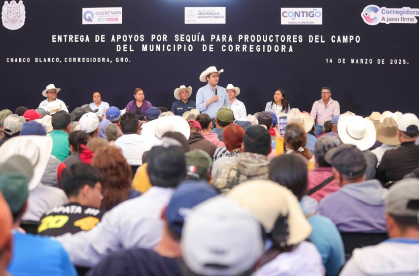  Chepe Guerrero y Rosendo Anaya entregan apoyos a 650 agricultores para combatir la sequía