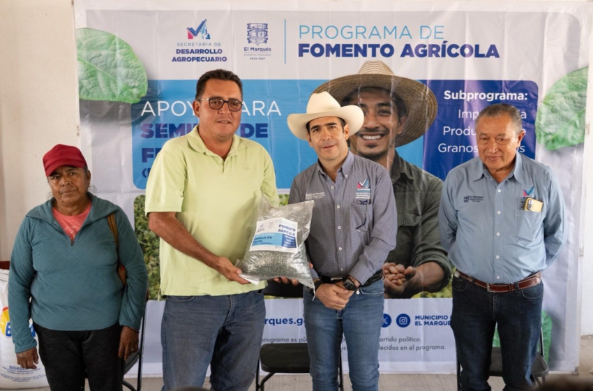  El Marqués impulsa la producción agrícola con entrega de semilla de frijol