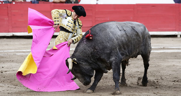  Respaldo total al Municipio de Querétaro por la suspensión de la corrida de toros en El Salitre: Carlos Alcaraz