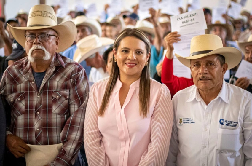  Regresan 4 migrantes a Landa de Matamoros tras ser repatriados de EE.UU.