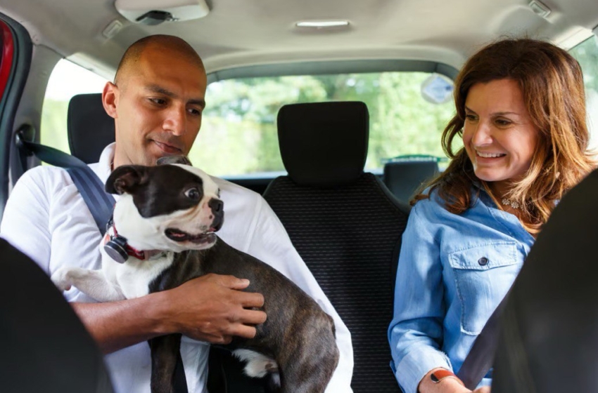 Uber lanza servicio para viajar con mascotas en Querétaro
