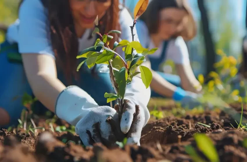 Busca FeliFer Macías Olvera que cada nueva casa, construida en Querétaro capital, tenga un árbol