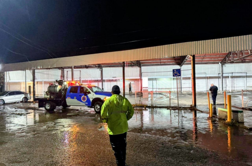 Lluvias en Corregidora provocan caída de espectaculares y árboles; se pronostican más precipitaciones