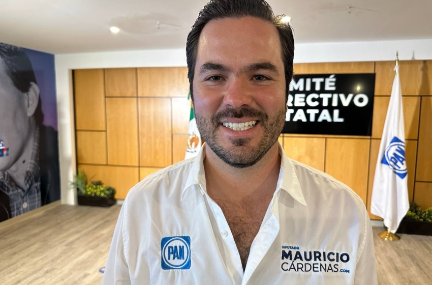 Ningún diputado del PAN se está “tambaleando”: Mauricio Cárdenas