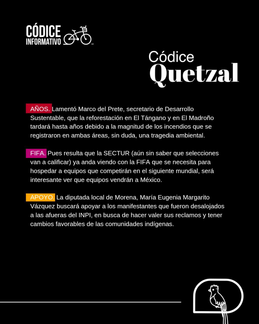 Infografía