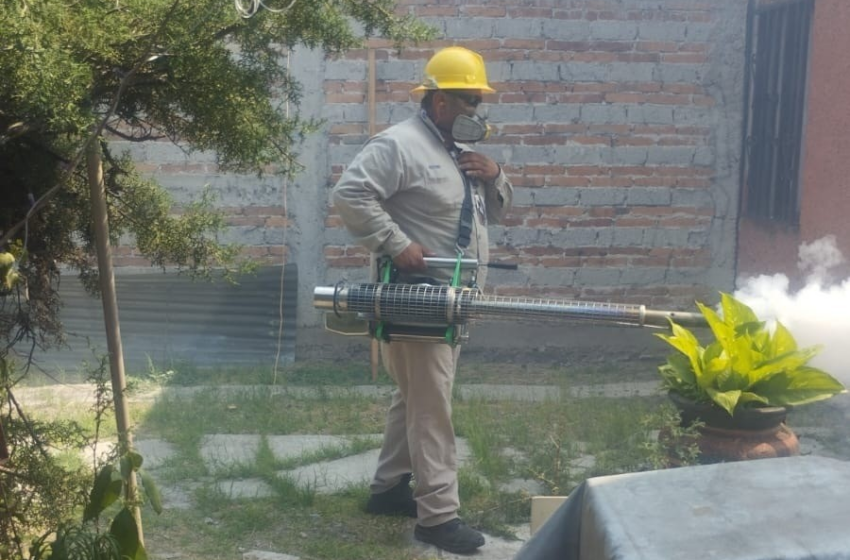Incrementan casos de dengue en Querétaro; autoridades intensifican acciones de prevención