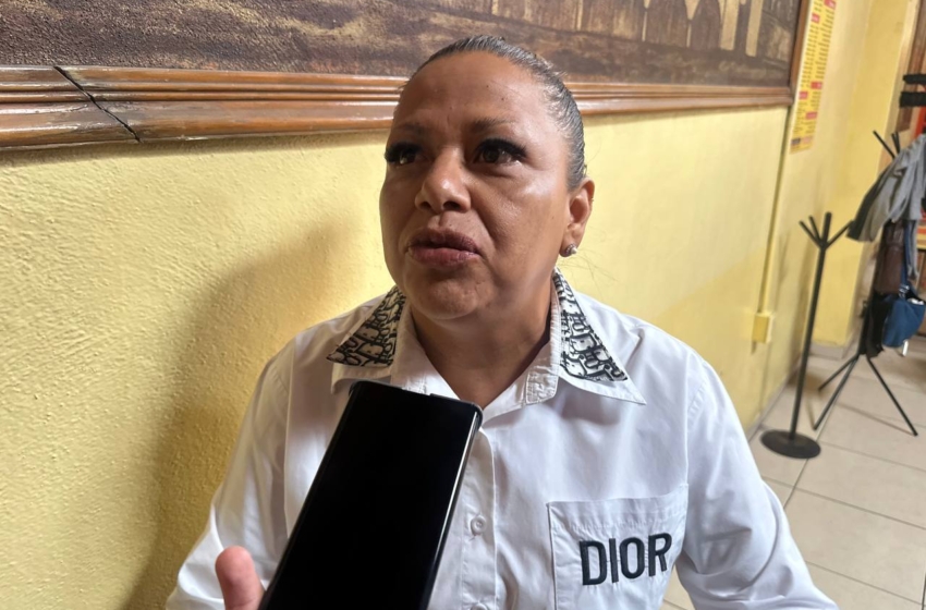 Comerciantes buscan tener arcotecho en el Tianguis Peñaflor