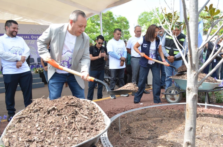  Arranca jornada de forestación en Ciudad Judicial Querétaro con más de 500 árboles plantados