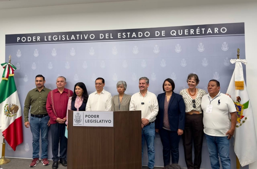  Basura, plásticos y una presa inestable: ambientalistas y legisladores proponen la creación de una Secretaría Ambiental