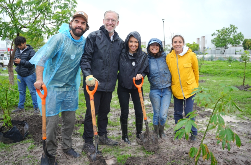  SEDESU impulsa reforestación ciudadana en Parque Central de Viñedos