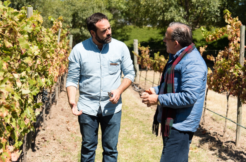  Viñedo queretano Puerta del Lobo es nombrado “Bodega del Año 2025” por la ASM
