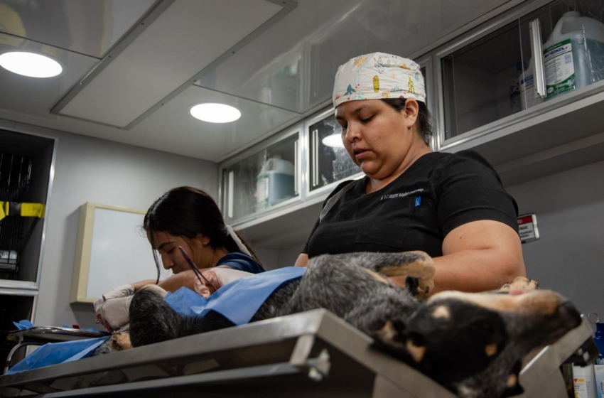  Refuerza IMPA campañas gratuitas y rescates para el bienestar animal en El Marqués