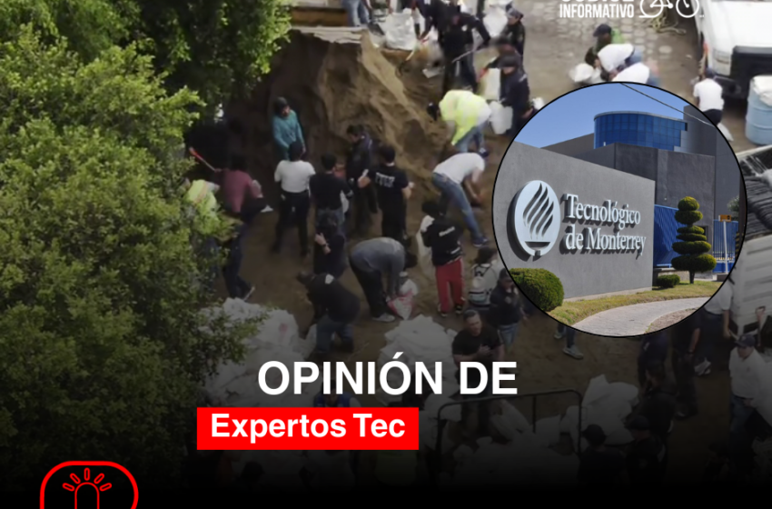  Unidos ante la tormenta: sociedad, gobierno y activistas en respuesta a las lluvias